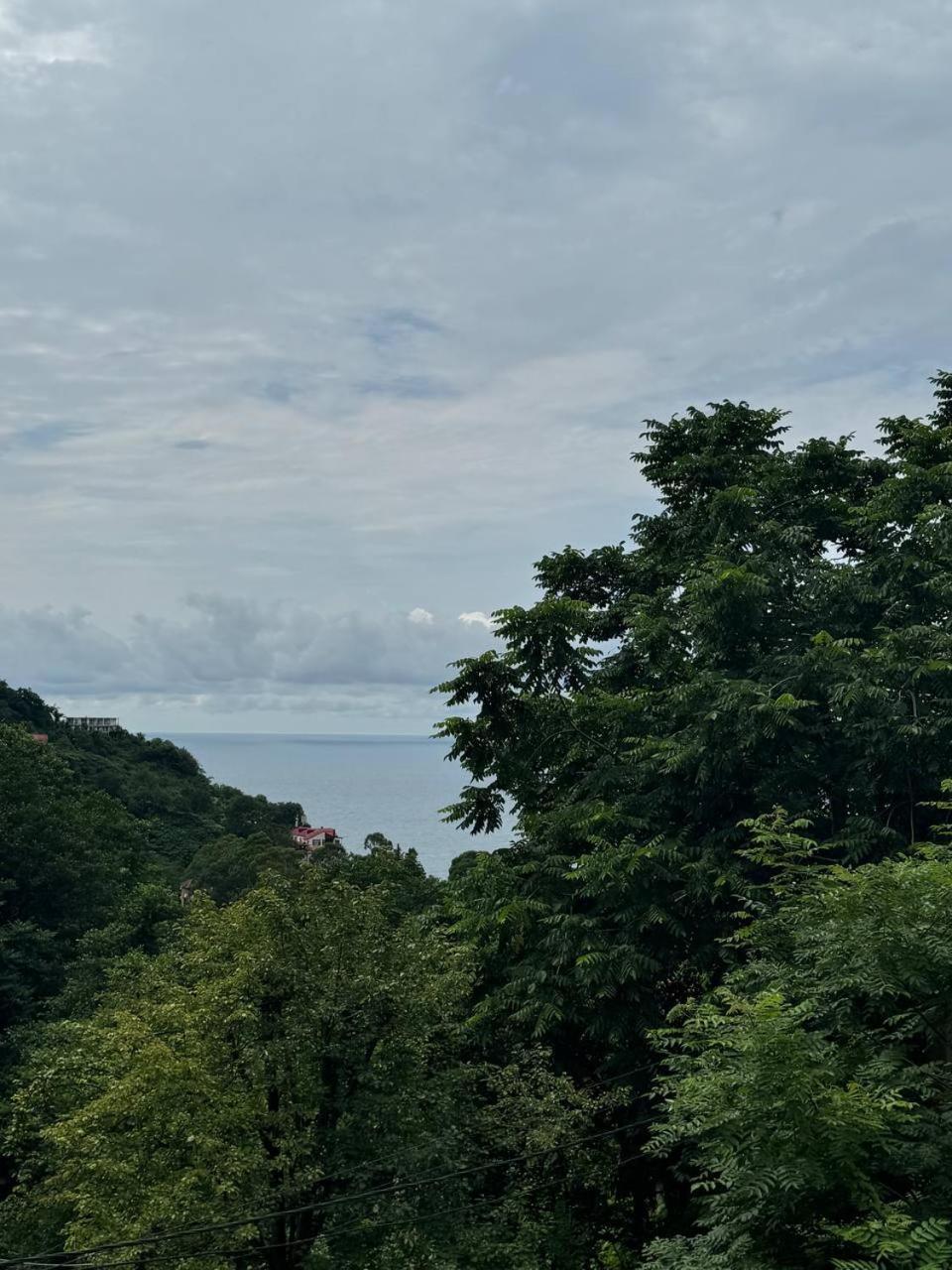Royal House Villa Kvariati Buitenkant foto